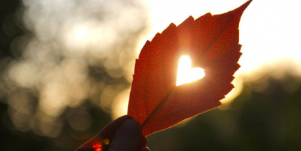 Jaké bude září? Meteorologové zveřejnili dlouhodobou předpověď