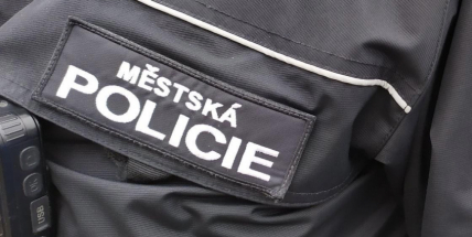 V Příbrami se ztratila šestiletá dívka. Městští strážníci ji našli za necelých pět minut