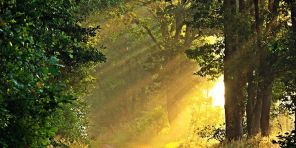 Tento týden bude ještě ve znamení letních teplot, pak se ochladí