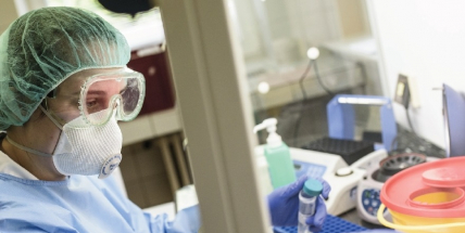 Reprodukční číslo se nad hodnotou jedna drží třináctý den v řadě