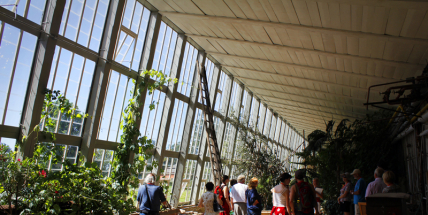 Zámek Dobříš láká v létě na loutky, sklepení i sokolnické ukázky
