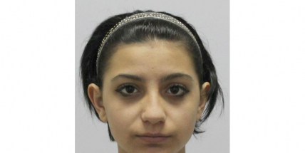 Policie pátrá po patnáctileté dívce