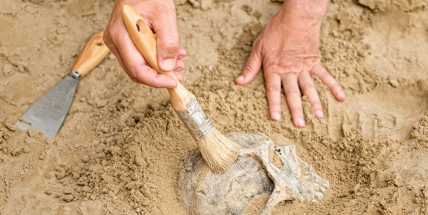 Archeologové našli na budované D4 u Čimelic pravěká sídliště i hroby