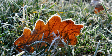 Na víkend předpovídají meteorologové přízemní mrazíky