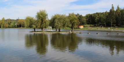 Kvalita vody v Novém rybníce byla letos dobrá, problémem byl parazit