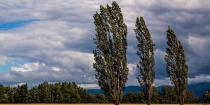 Silně foukat bude nejenom dnes, ale i celou sobotu, varují meteorologové
