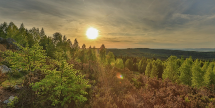 Vojenské lesy spustí v Brdech novou geolokační hru