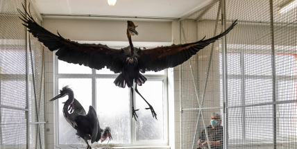 Česko za koronaviru i poetické malby. Galerie otevírají nové výstavy