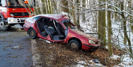Po nárazu auta do stromu museli hasiči řidičku vyprostit, cestovala s malým dítětem