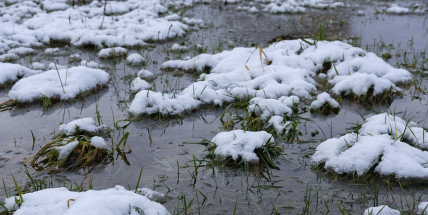 Tento týden přinese oteplení