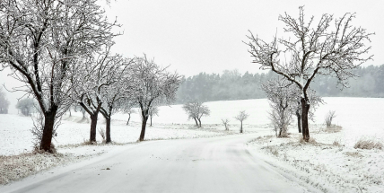Šance na bílé Vánoce? Meteorologové upřesnili předpověď