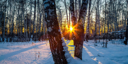 Přichází zimní slunovrat. Dny se začnou pozvolna prodlužovat