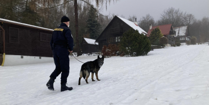 Za poslední týden bylo vykradeno na Příbramsku pět chat. Zloději nepohrdli vejci ani párky