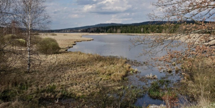 Tento týden se oteplí, o víkendu může být až 15 stupňů