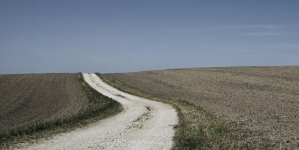 V Česku padaly další teplotní rekordy, teplo bude i v pondělí