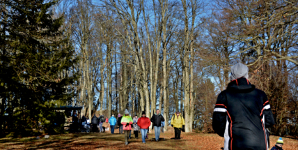 Teplé počasí potrvá do středy, poté se začne ochlazovat