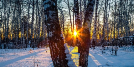 Loňský rok byl studenější, než bylo v poslední dekádě běžné