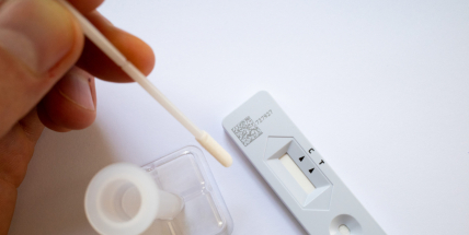 Na internetu tento týden stouply prodeje antigenních testů