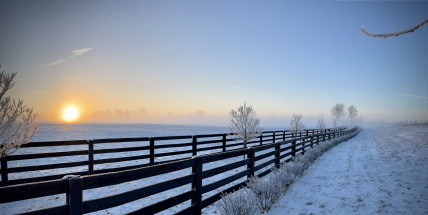Jaký bude zbytek ledna a začátek února? Meteorologové zveřejnili dlouhodobou předpověď