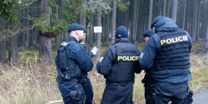 Policie ukončila pátrání po medvědovi u Brandýsa, zvíře nenašla