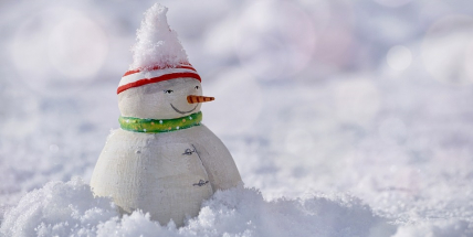 Ochladí se, příroda ukáže pravou zimní tvář