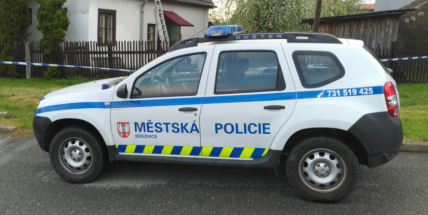 Policie již má znalecký posudek k úmrtí mladíka, který zemřel po potyčce a zásahu městských strážníků v Březnici