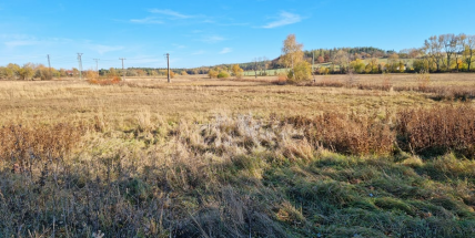Konec bytové krize? Známe plány výstavby na Fantově louce