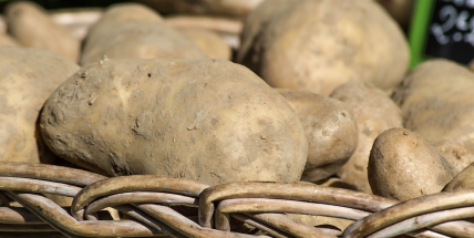 Fenomén farmářských potravin je na vzestupu. Lidé se poohlížejí po kvalitních surovinách