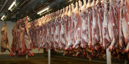 Výroba masa v Česku byla loni nejvyšší za posledních deset let