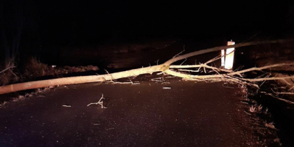 Příbramsko pozdě večer znovu zasáhl velmi silný vítr