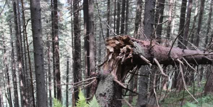 Meteorologové zvýšili stupeň varování před silným větrem
