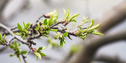Většinu týdne bude jasno a teploty okolo 10°, o víkendu se ochladí