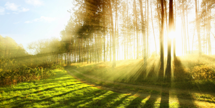 Víkend bude většinou slunečný, příští týden teploty dosáhnou až 18 stupňů