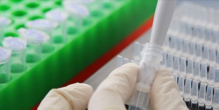 Ve čtvrtek přibylo 8163 případů covidu, nejméně ve všední den za dva týdny