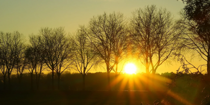 Teploty v ČR letos poprvé překonaly 20 stupňů