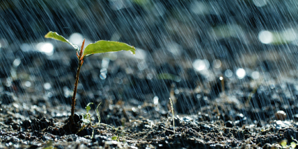 Od úterý bude zataženo a postupně se ochladí
