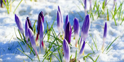 Teploty v příštím týdnu budou stoupat jen pozvolna