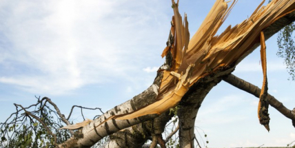 Ve čtvrtek bude opět hodně větrno, polevit by měl vítr v pátek ráno