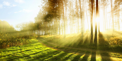V druhé polovině příštího týdne bude až 21 stupňů