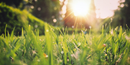 Do poloviny týdne se bude oteplovat, na velikonoční svátky se ochladí a vrátí se přeháňky