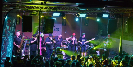 Pohoda Fest letos v rytmu punku a undergroundu