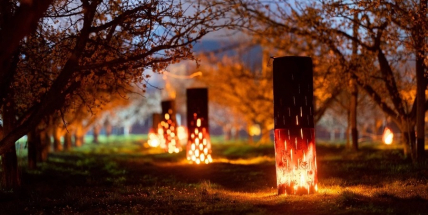 Noc na pondělí bude opět mrazivá, varují meteorologové sadaře