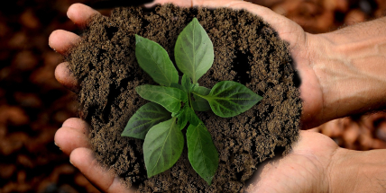 Dni Země a obnově přírody se věnují akce na Příbramsku