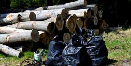 Dobrovolníci budou v sobotu uklízet Chráněnou krajinnou oblast Brdy