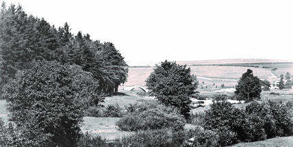 Anna Sequensová: Umělkyně, které učarovala Dobrá Voda u Březnice