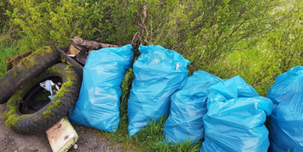Dvě stovky dobrovolníků se zapojily do úklidu Chráněné krajinné oblasti Brdy