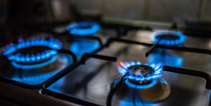 Při kritickém nedostatku plynu by se dodávky zachovaly jen domácnostem nebo nemocnicím