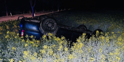 Řidič s osobákem vyletěl ze silnice do pole s rozkvetlou řepkou