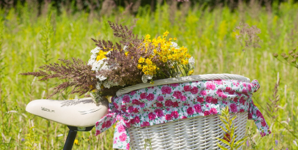 Dnešek je zatím nejteplejším dnem roku, teploty přesáhly 25 stupňů