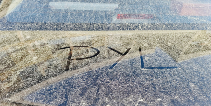 Všudypřítomný žlutý prášek pokryl auta, střechy, zahrady i centrum města